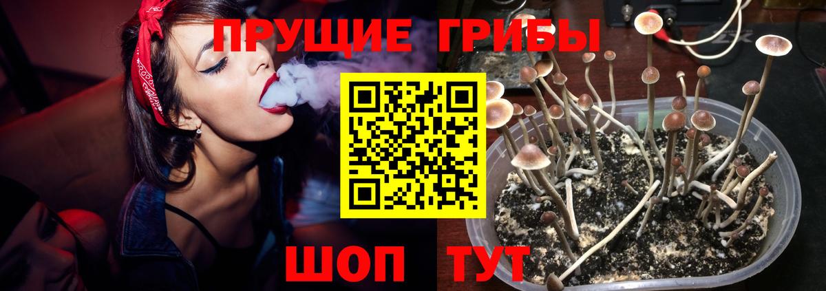 Галлюциногенные грибы мухоморы Красноперекопск