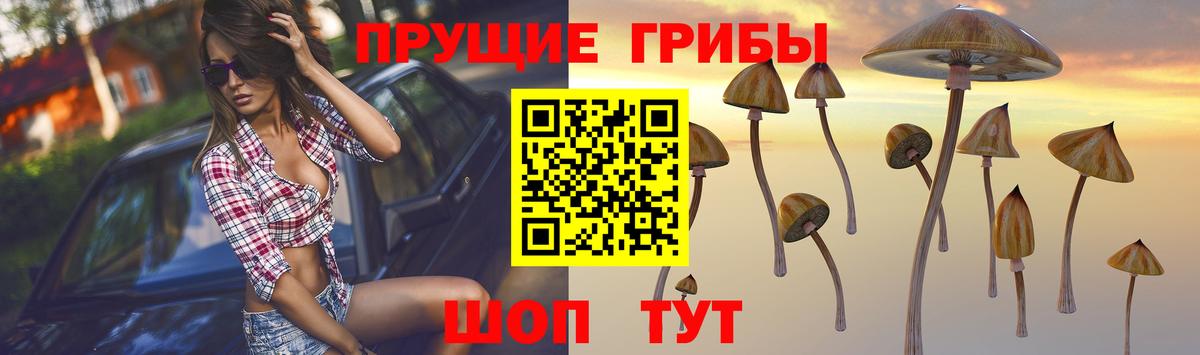Псилоцибиновые грибы GOLDEN TEACHER  Вход с VPN  Красноперекопск 